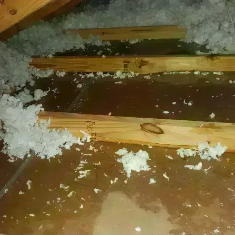 Attic Water Damage in Bolivar, TN